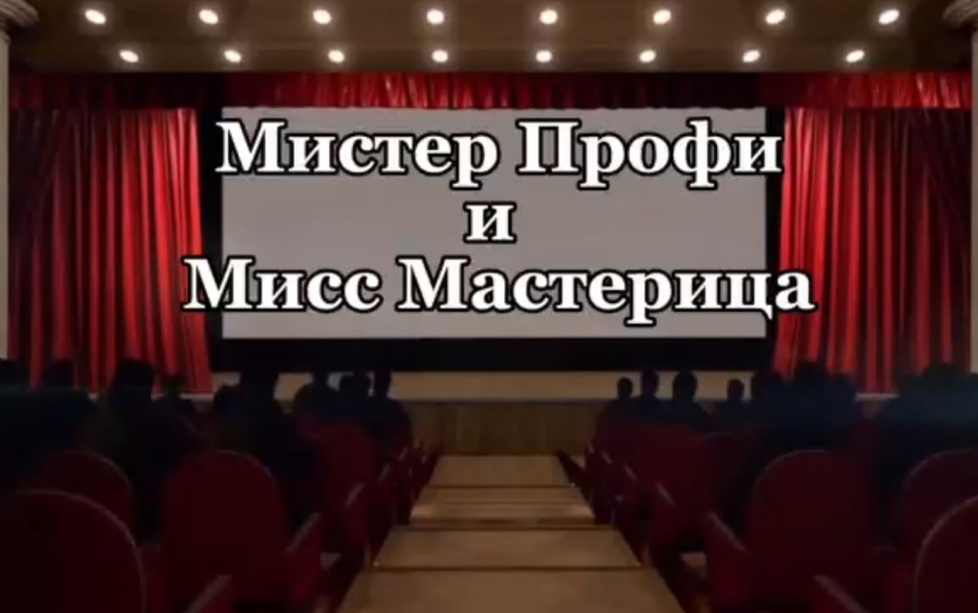 Мистер Профи и Мисс Мастерица