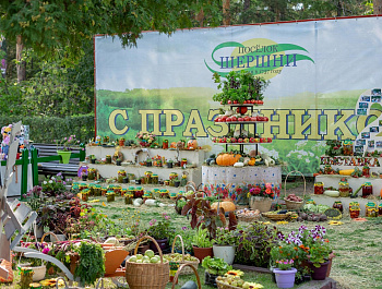 19 августа 2023 г. Центральном парке культуры и отдыха им. Ю.А. Гагарина состоялась юбилейная XX Городская выставка цветов и плодов.